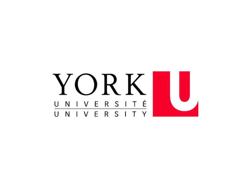 York University